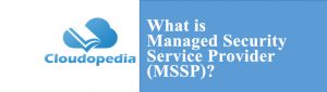 Definition of Managed Security Service Provider (MSSP)