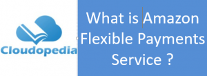 Definition of Amazon Flexible Payments Service