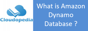 Definition of Amazon Dynamo Database