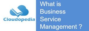 Definition of Business Service Management